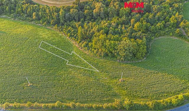 Prodej pole 10 056 m², Žlebské Chvalovice, okres Chrudim