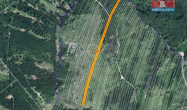 Prodej lesa 10 966 m², Nová Hradečná, okres Olomouc
