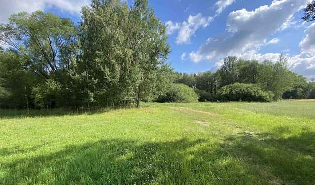 Prodej louky 10 951 m², Trhové Sviny – Otěvěk, okres České Budějovice