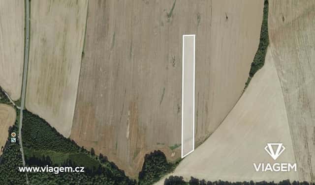 Prodej pole 2 694 m², Kostelec nad Černými lesy, okres Praha-východ