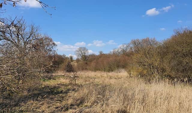 Prodej zahrady 9 203 m², Němčany, okres Vyškov