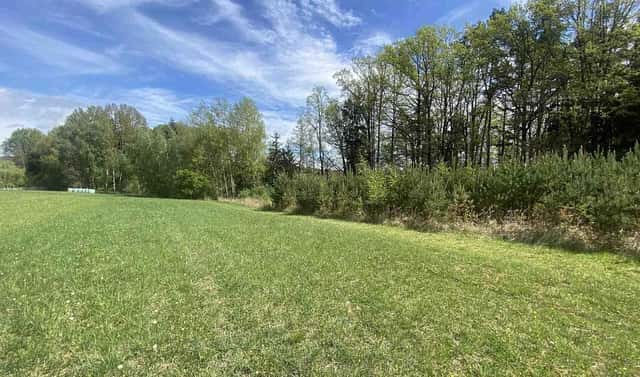Prodej pole 5 875 m², Malovice, okres Prachatice
