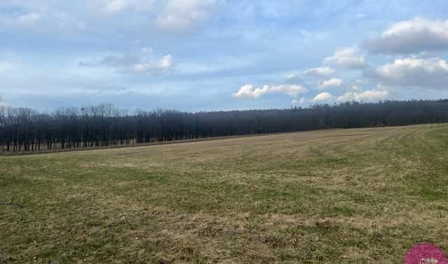 Prodej pole 13 030 m², Bělkovice-Lašťany, okres Olomouc