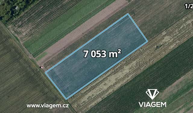 Prodej pole 2 329 m², Podivín, okres Břeclav