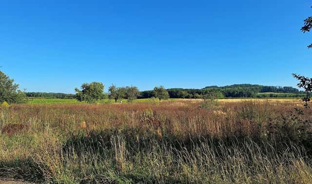 Prodej pole 140 145 m², Mnichovo Hradiště – Sychrov, okres Mladá Boleslav