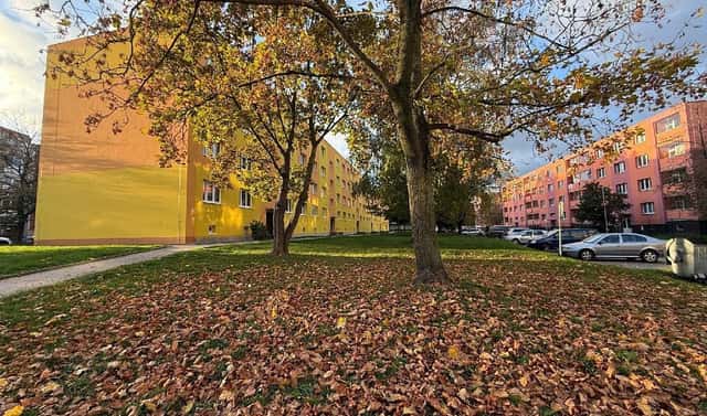 Prodej bytu 2+1 56 m², M. Švabinského, Bílina – Teplické Předměstí, okres Teplice