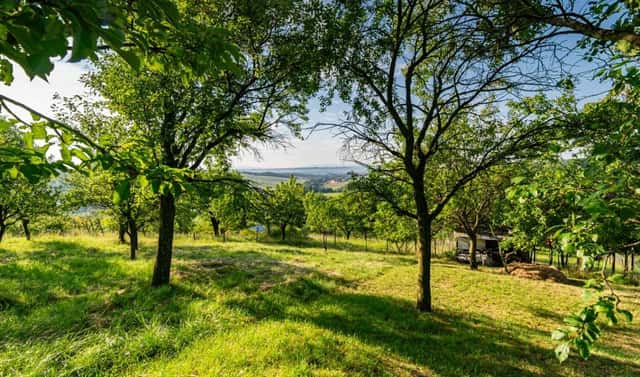 Prodej zahrady 1 878 m², Kudlovice, okres Uherské Hradiště