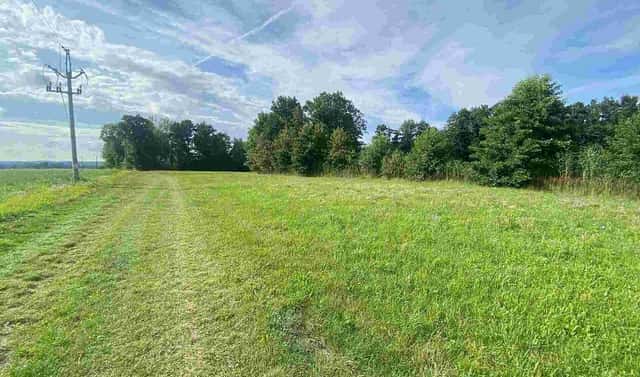Prodej pozemku 6 901 m², Maleč, okres Havlíčkův Brod