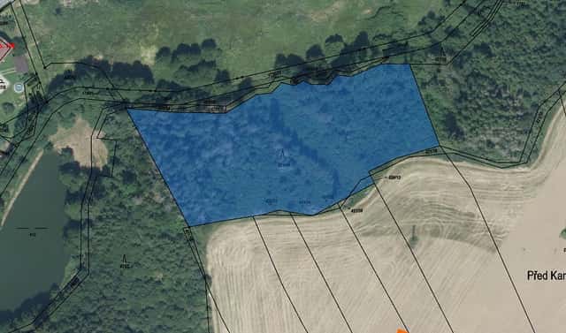 Prodej lesa 7 841 m², Přibyslav, okres Havlíčkův Brod