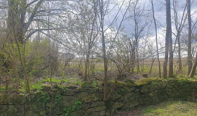 Prodej pole 1 818 m², Kozlovice, okres Plzeň-jih