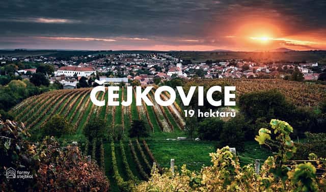 Prodej pole 194 311 m², Čejkovice, okres Hodonín