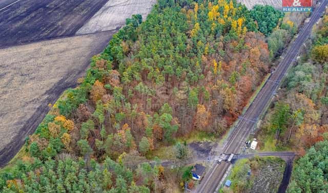 Prodej lesa 6 436 m², Lysá nad Labem, okres Nymburk