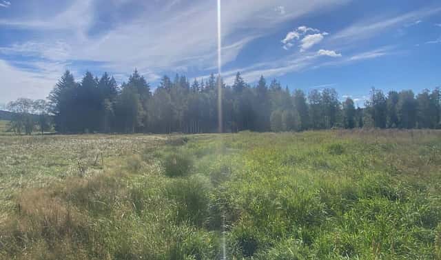 Prodej lesa 29 205 m², Borová Lada, okres Prachatice