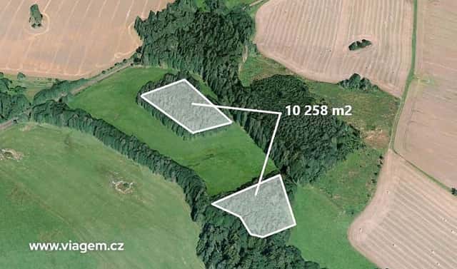 Prodej lesa 2 849 m², Pustá Kamenice, okres Svitavy