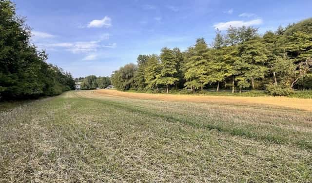 Prodej stavebního pozemku 14 370 m², Kralupy nad Vltavou – Minice, okres Mělník