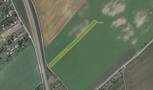 Prodej pole 6 602 m², Kuchařovice, okres Znojmo