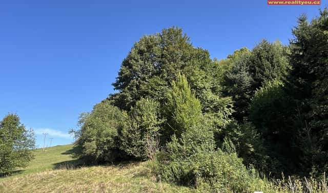 Prodej stavebního pozemku 747 m², Kounov, okres Rychnov nad Kněžnou