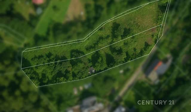 Prodej zahrady 4 971 m², Štramberk, okres Nový Jičín