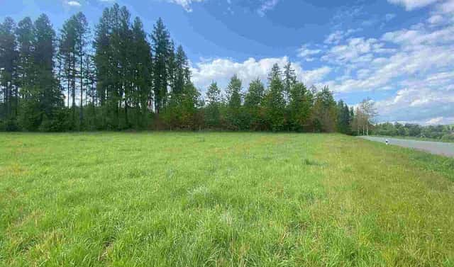 Prodej pozemku 7 130 m², Břidličná – Vajglov, okres Bruntál