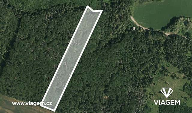 Prodej lesa 1 259 m², Prštice, okres Brno-venkov