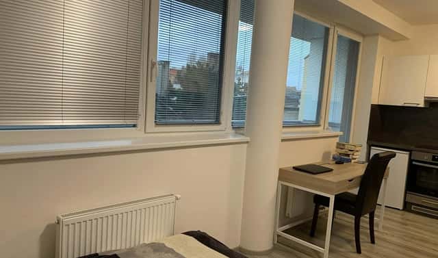 Prodej bytu 1+kk 38 m², Rumiště, Brno – Trnitá, okres Brno-město