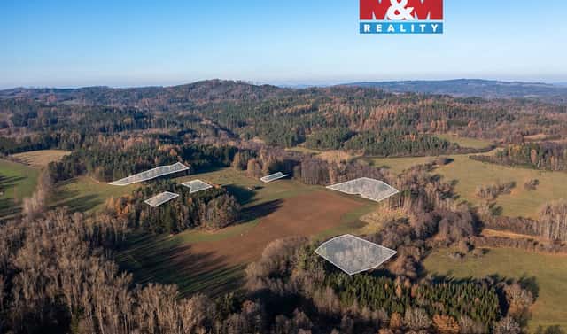 Prodej lesa 25 838 m², Nalžovské Hory – Nalžovy, okres Klatovy