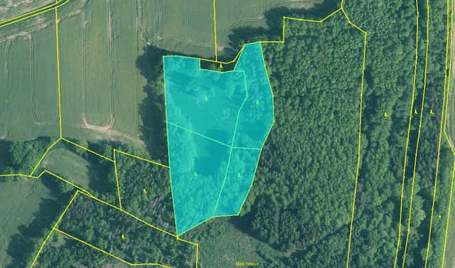 Prodej lesa 19 204 m², Skály, okres Písek