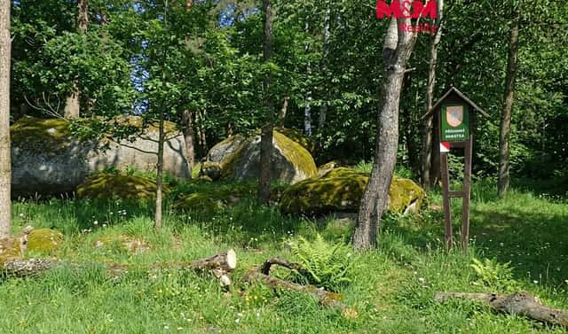 Prodej lesa 7 042 m², Petrovice – Žemličkova Lhota, okres Příbram