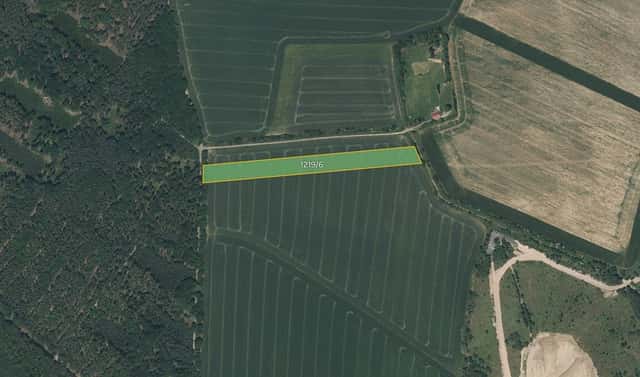 Prodej pole 10 152 m², Tlučná, okres Plzeň-sever