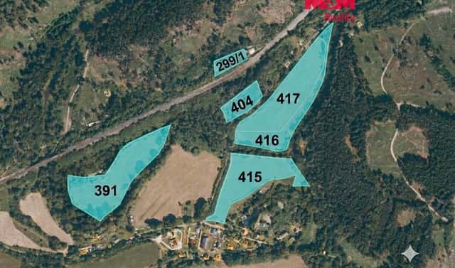 Prodej louky 46 364 m², Kočov, okres Tachov