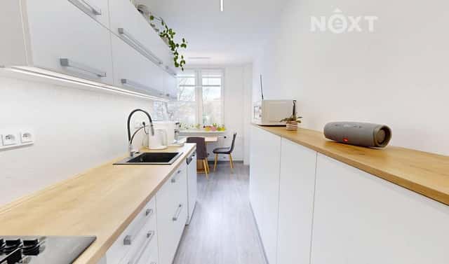 Prodej bytu 2+1 59 m², Nad parkem, Meziboří, okres Most