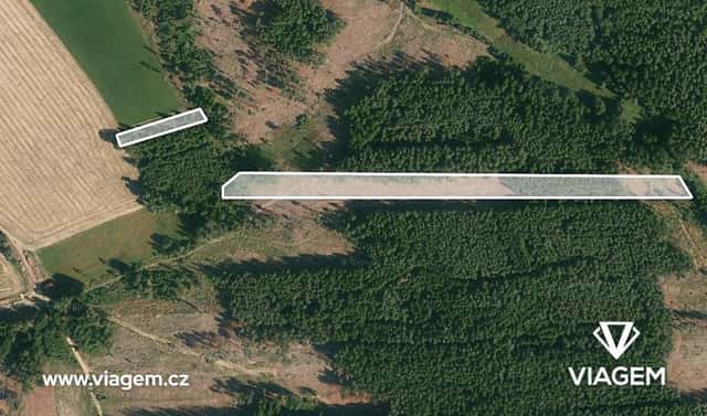 Prodej lesa 21 469 m², Chrbonín, okres Tábor