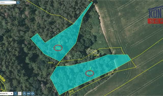 Prodej lesa 3 180 m², Kaceřov, okres Plzeň-sever