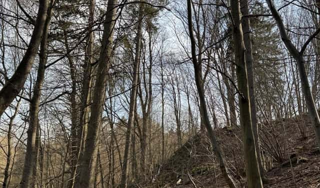 Prodej pozemku 23 891 m², Louňovice pod Blaníkem – Podomí, okres Benešov