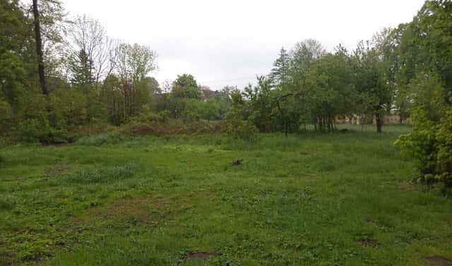 Prodej pozemku 1 387 m², Vlčice, okres Jeseník