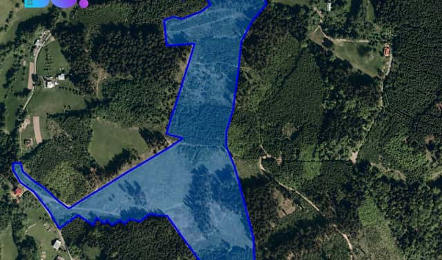 Prodej lesa 105 864 m², Liptál, okres Vsetín