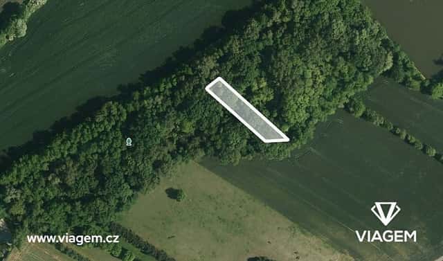Prodej lesa 462 m², Telnice, okres Brno-venkov