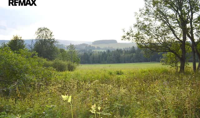 Prodej pozemku 8 040 m², Borová Lada, okres Prachatice
