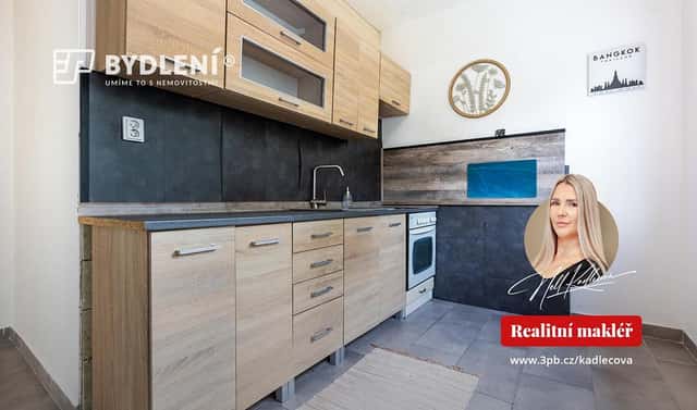 Prodej bytu 2+1 56 m², Podkrušnohorská, Litvínov – Horní Litvínov, okres Most