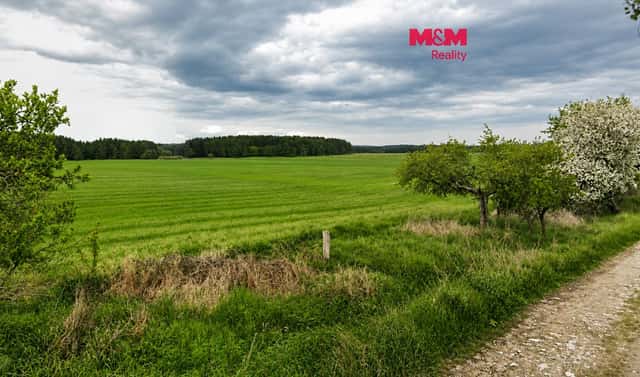 Prodej pole 349 177 m², Tisová, okres Tachov