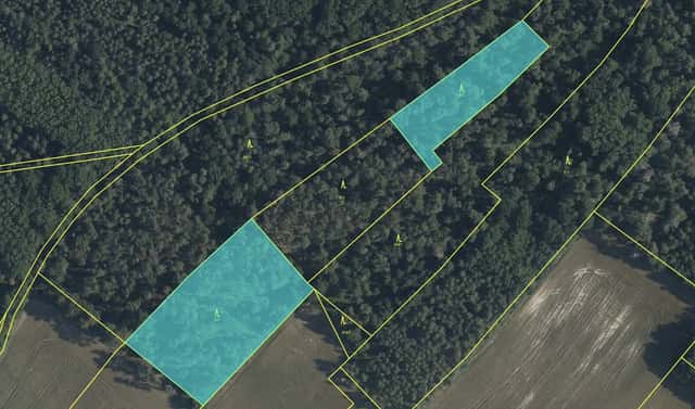 Prodej lesa 7 719 m², Sudovo Hlavno, okres Praha-východ