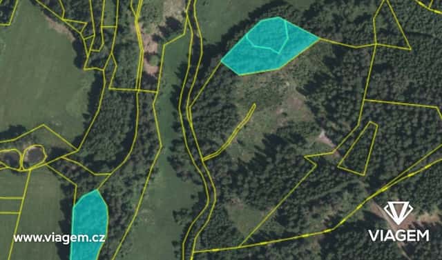 Prodej lesa 87 m², Malonty, okres Český Krumlov