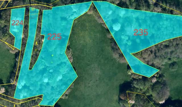 Prodej pozemku 26 240 m², Kvítkov, okres Česká Lípa