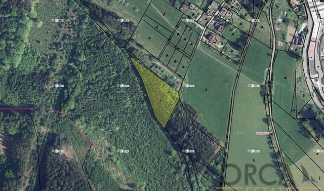 Prodej lesa 2 174 m², Ústí nad Orlicí