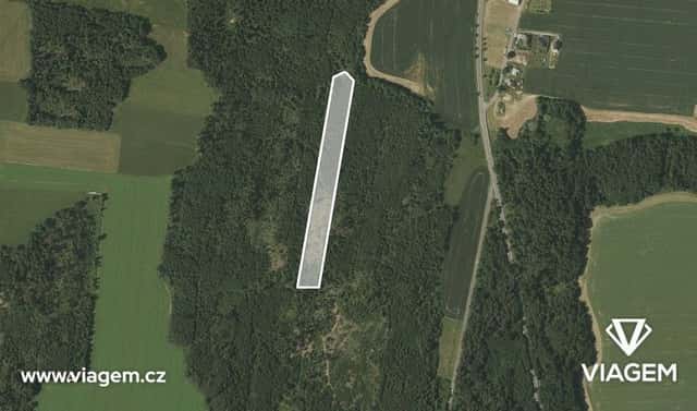 Prodej lesa 15 886 m², Březová, okres Opava