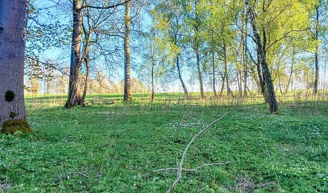 Prodej stavebního pozemku 2 966 m², Stará Voda, okres Cheb