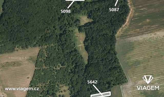 Prodej lesa 985 m², Hradčovice, okres Uherské Hradiště