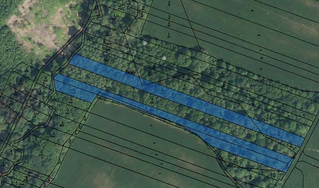 Prodej lesa 11 699 m², Šarovy, okres Zlín