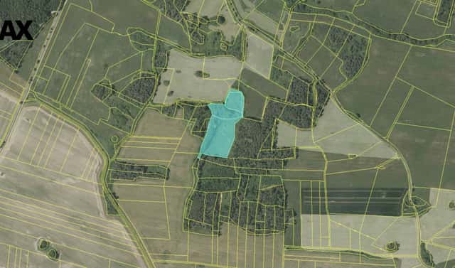 Prodej lesa 19 636 m², Břežany, okres Klatovy