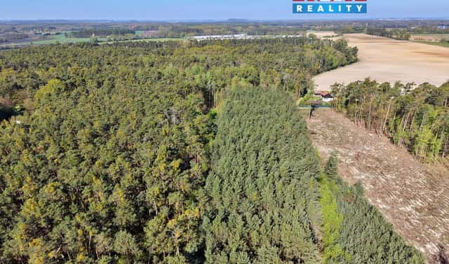 Prodej lesa 4 769 m², Sadská, okres Nymburk